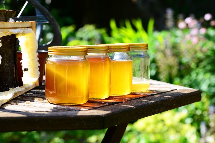 Manuka Honey versus ordinary honey