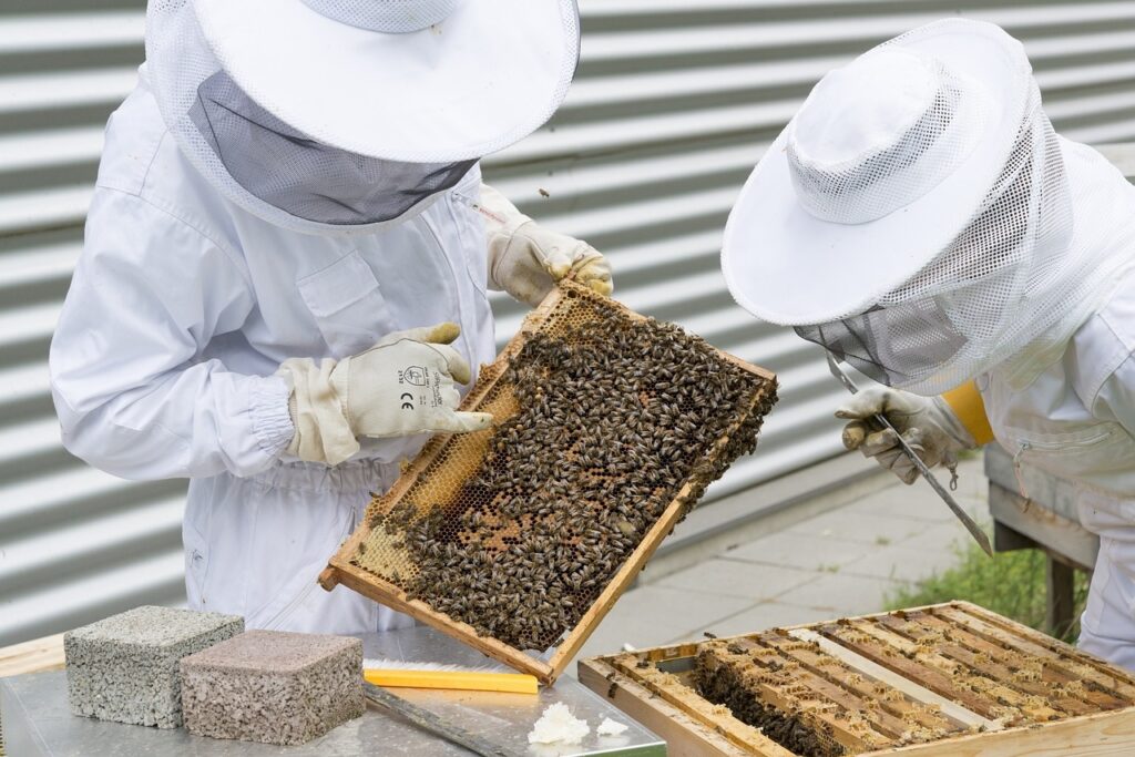 Beekeepers - Suppoting your immune system