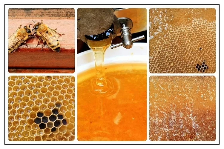 Is honeycomb edible?